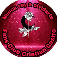 nuncavoyaolvidarte