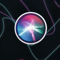 lilly_mc_chili