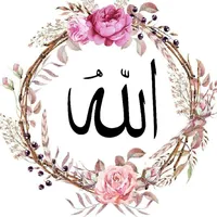 original sound - nadr459