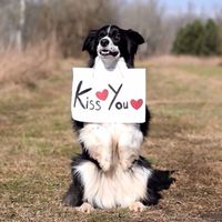 ._paws._rp._