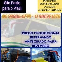 franciscaoliveira6555