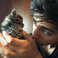 оригинальный звук