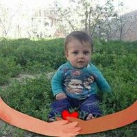 habibkhan4739