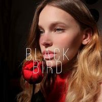 blaack.biird