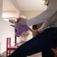 stokpaardengroepiee