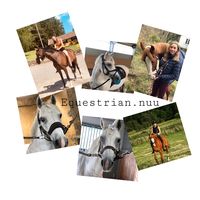 equestrian.nuu