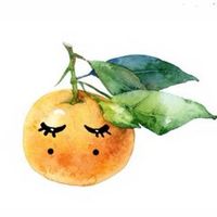mandarina85vintage