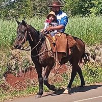 elderantunes61