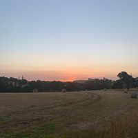 like_all_my_tiktoks_pls