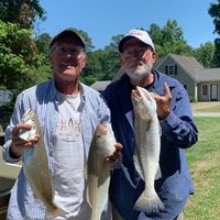 thecatchermenonthefly