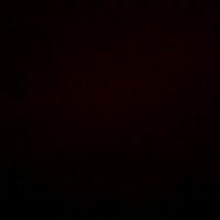 no are you absolutely mad