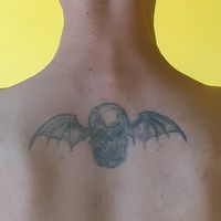 suara asli - W A N S ♍