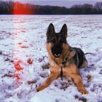 kessinkafanpage