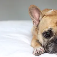 original sound - gusgusinthecity