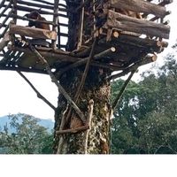 original sound - Tuama Karegesan