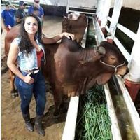 fernandasilva9255