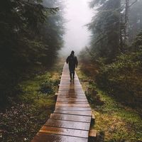 timmy trumpet. freaks