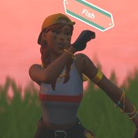 fish.fn