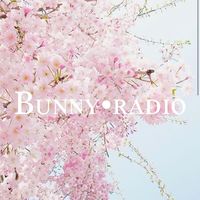 bunny.rad.io