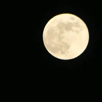 original sound - 30381365113