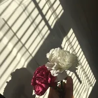 original sound - ..someone.1