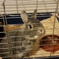 blxck_lara