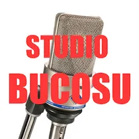 original sound - bucosustudio