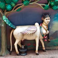 maanukani
