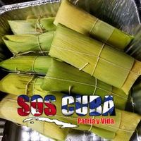 8134102852tampafl33614