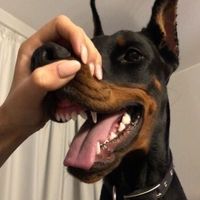 исходный звук