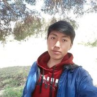 r0lycari