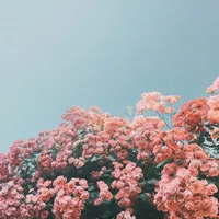 original sound - peachyッ