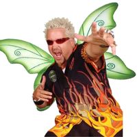 jerrythefairy