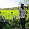original sound - mayravidarte