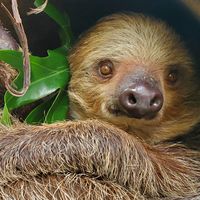 rwpzoo