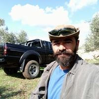 πρωτότυπος ήχος