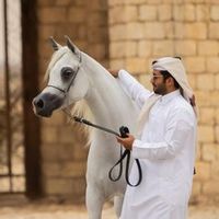 almnsouri11