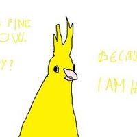 that motherfucking fish