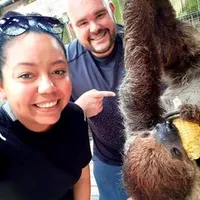 original sound - .big_p