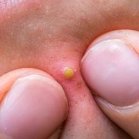 strangely.satisfiedtv