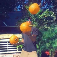 original sound - thefarmstandman