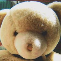 ___urso___