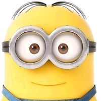 minionsbrabr