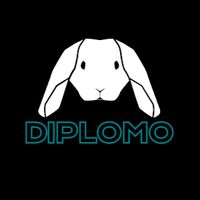 diplomo_street_culture