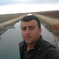 aliberkyer75