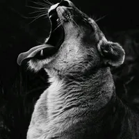 original sound - xdesire4