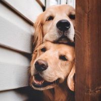 cuute_stuff