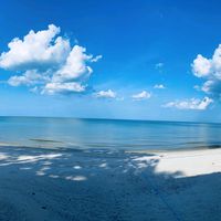 oceanmiracle54