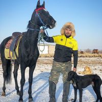 оригинальный звук