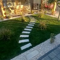 rozegardenfocsani